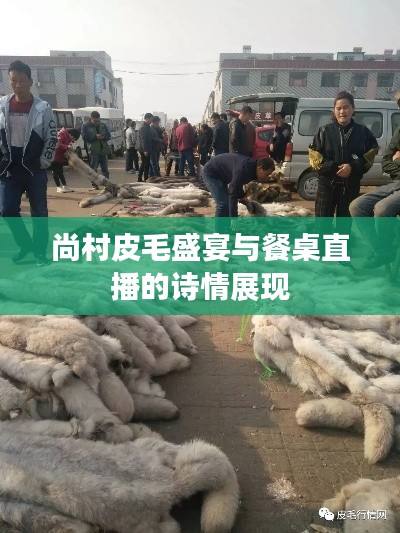 尚村皮毛盛宴与餐桌直播的诗情展现