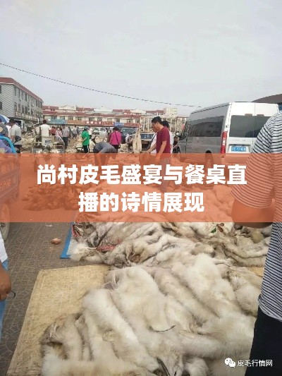 尚村皮毛盛宴与餐桌直播的诗情展现