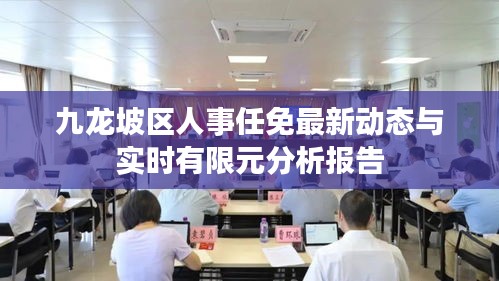 九龙坡区人事任免最新动态与实时有限元分析报告