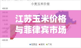 江苏玉米价格与菲律宾市场动态，深度解析与观察思考报告