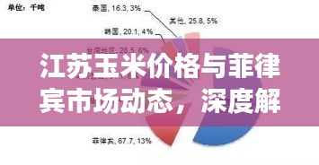 江苏玉米价格与菲律宾市场动态,深度解析与观察思考报告