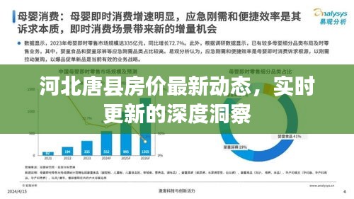 河北唐县房价最新动态,实时更新的深度洞察