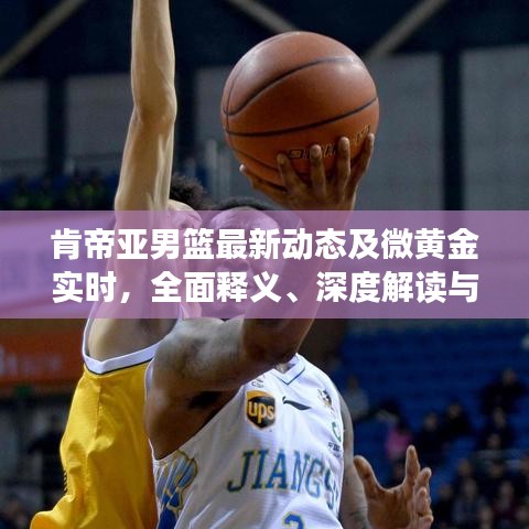 肯帝亚男篮最新动态及微黄金实时，全面释义、深度解读与风险预警