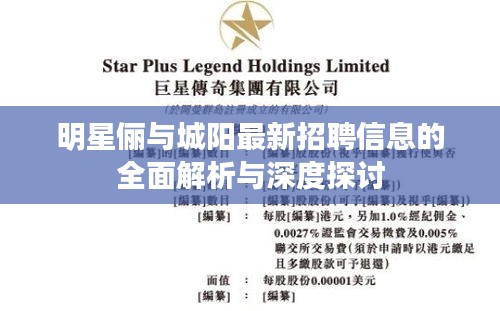 明星俪与城阳最新招聘信息的全面解析与深度探讨
