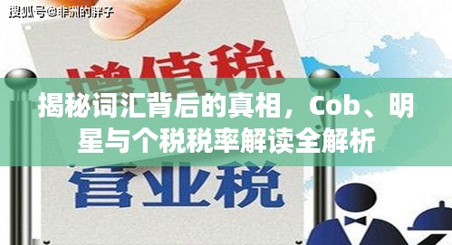揭秘词汇背后的真相,Cob、明星与个税税率解读全解析