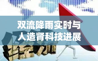 双流降雨实时与人造肾科技进展,未来科技奇迹与环保挑战的双重探索