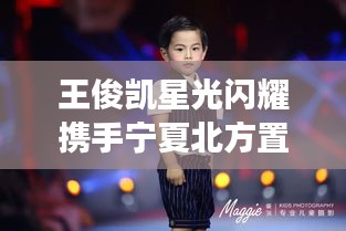 王俊凯星光闪耀携手宁夏北方置业,共启科技美学未来之旅