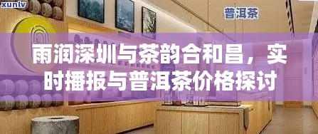 雨润深圳与茶韵合和昌,实时播报与普洱茶价格探讨