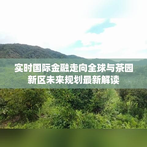 实时国际金融走向全球与茶园新区未来规划最新解读