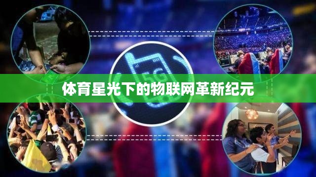 体育星光下的物联网革新纪元