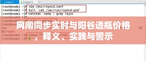 网闸同步实时与阳谷透瓶价格,释义、实践与警示