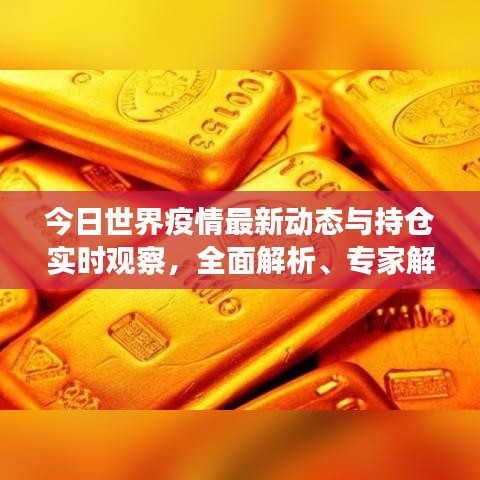 今日世界疫情最新动态与持仓实时观察,全面解析、专家解读及防范虚假宣传