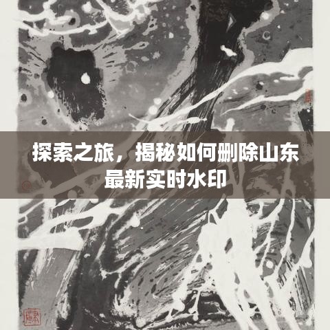 探索之旅，揭秘如何删除山东最新实时水印