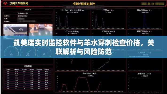 凯美瑞实时监控软件与羊水穿刺检查价格，关联解析与风险防范