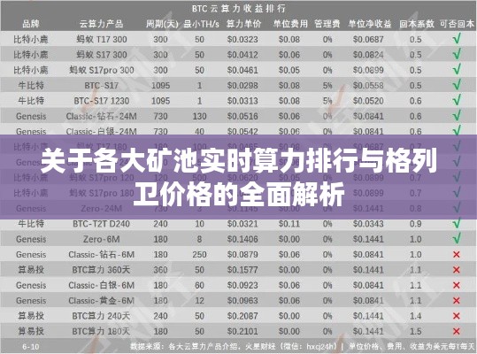 关于各大矿池实时算力排行与格列卫价格的全面解析