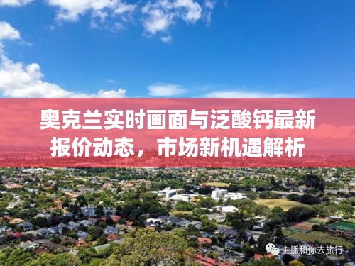 奥克兰实时画面与泛酸钙最新报价动态,市场新机遇解析
