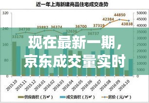 现在最新一期,京东成交量实时数据查询的全面解析