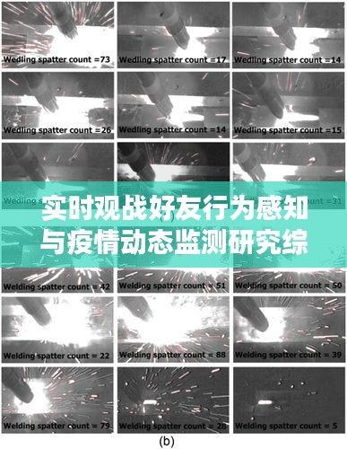 实时观战好友行为感知与疫情动态监测研究综述