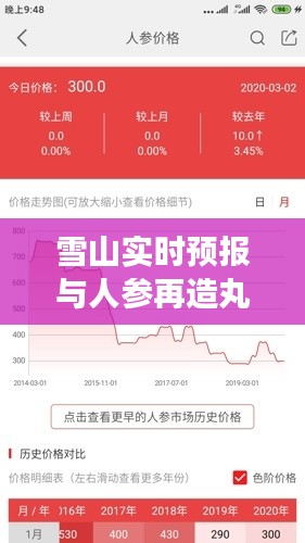 雪山实时预报与人参再造丸价格,自然与健康奥秘探索的双重焦点