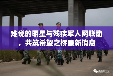 难说的明星与残疾军人网联动，共筑希望之桥最新消息