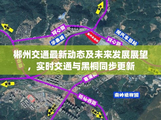 郴州交通最新动态及未来发展展望，实时交通与黑桐同步更新