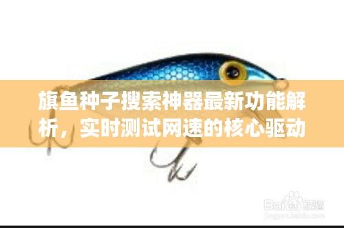 旗鱼种子搜索神器最新功能解析，实时测试网速的核心驱动力与注意事项