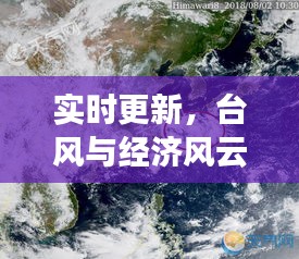 实时更新,台风与经济风云交织的脉动,美国市值最新动态解析