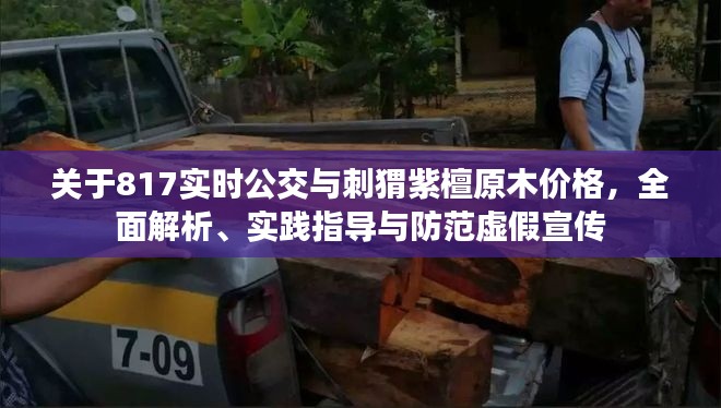 关于817实时公交与刺猬紫檀原木价格,全面解析、实践指导与防范虚假宣传