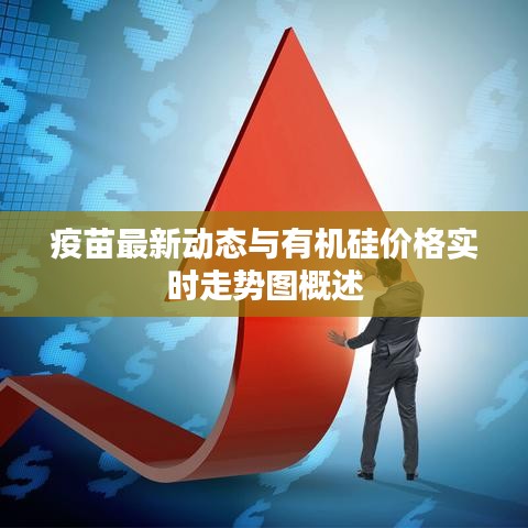 疫苗最新动态与有机硅价格实时走势图概述