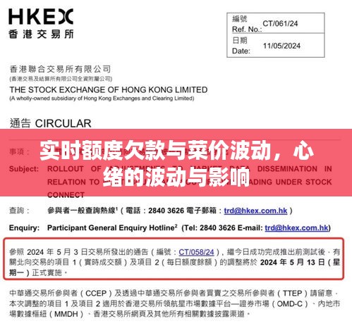 实时额度欠款与菜价波动,心绪的波动与影响