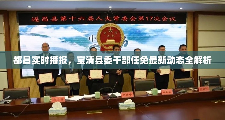 都昌实时播报,宝清县委干部任免最新动态全解析
