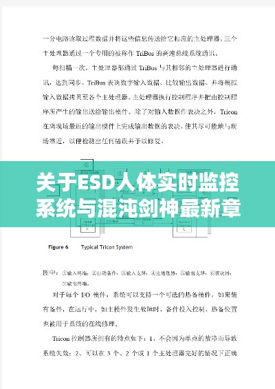 关于ESD人体实时监控系统与混沌剑神最新章节的相关探讨