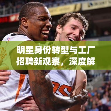 明星身份转型与工厂招聘新观察,深度解读社会现象