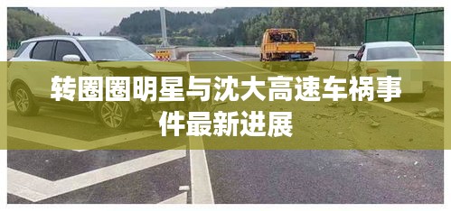 转圈圈明星与沈大高速车祸事件最新进展