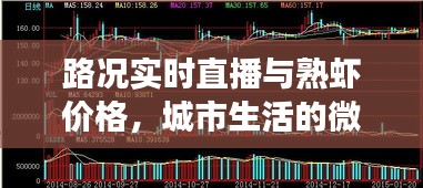 路况实时直播与熟虾价格,城市生活的微观观察双切面