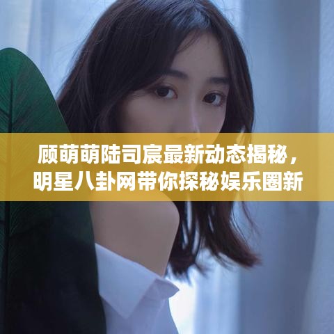 顾萌萌陆司宸最新动态揭秘,明星八卦网带你探秘娱乐圈新热话题