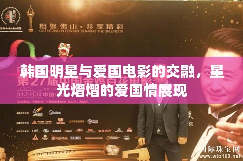韩国明星与爱国电影的交融,星光熠熠的爱国情展现