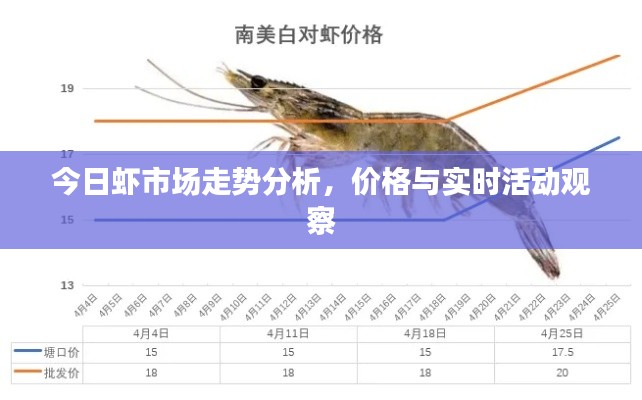 今日虾市场走势分析,价格与实时活动观察