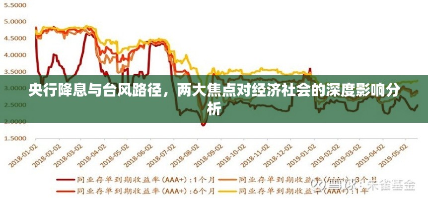 央行降息与台风路径,两大焦点对经济社会的深度影响分析