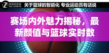 赛场内外魅力揭秘,最新颜值与篮球实时数据大解析