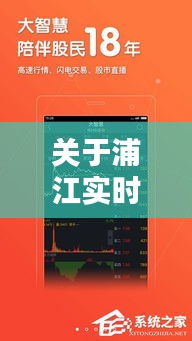 关于浦江实时直播中的雪种价格全面解析