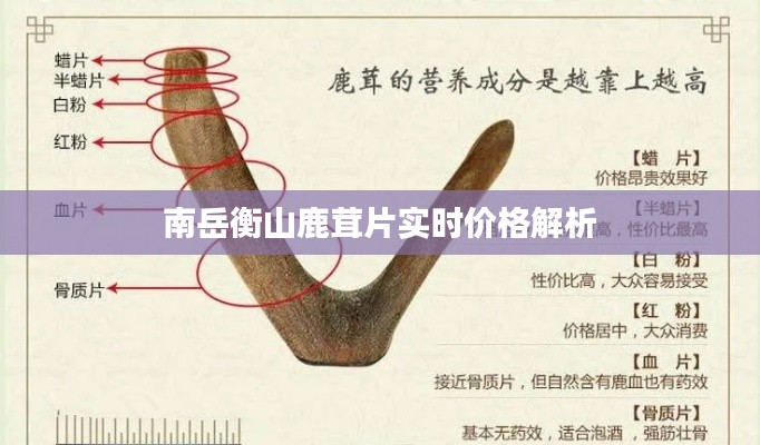 南岳衡山鹿茸片实时价格解析