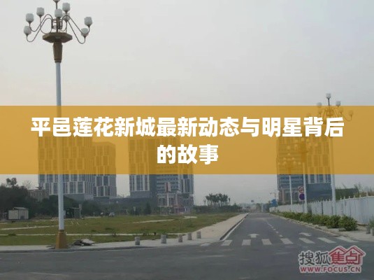 平邑莲花新城最新动态与明星背后的故事