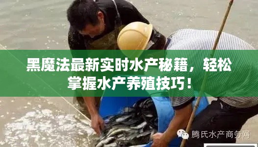 黑魔法最新实时水产秘籍,轻松掌握水产养殖技巧!