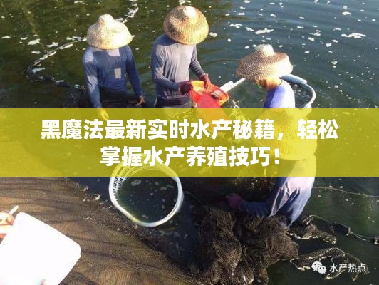 黑魔法最新实时水产秘籍,轻松掌握水产养殖技巧!