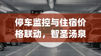 停车监控与住宿价格联动,智圣汤泉住宿的智能停车管理与价格优化方案