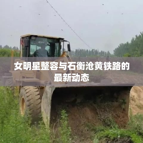 女明星整容与石衡沧黄铁路的最新动态