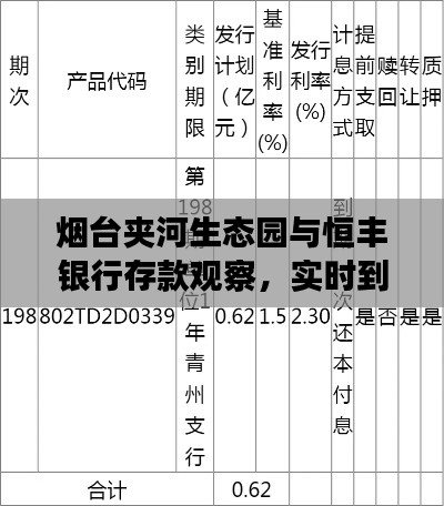 烟台夹河生态园与恒丰银行存款观察,实时到账现象的理解与思考