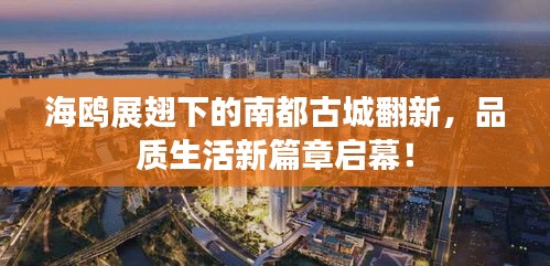 海鸥展翅下的南都古城翻新，品质生活新篇章启幕！