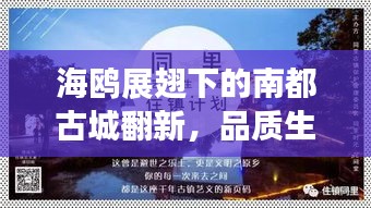 海鸥展翅下的南都古城翻新,品质生活新篇章启幕!